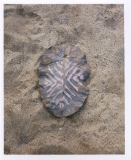 Karen Paulina Biswell