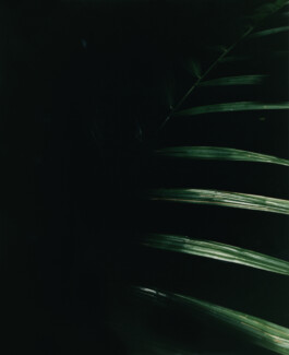 Karen Paulina Biswell