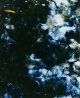 Karen Paulina Biswell