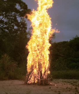 Karen Paulina Biswell