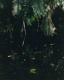 Karen Paulina Biswell