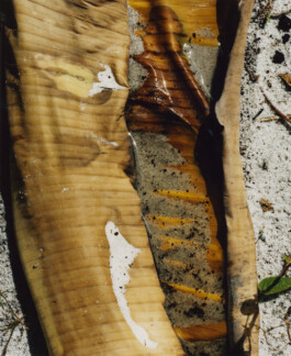 Karen Paulina Biswell