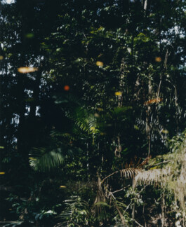 Karen Paulina Biswell