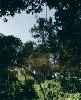 Karen Paulina Biswell