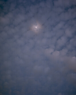 Karen Paulina Biswell