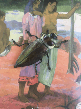 Karen Paulina Biswell