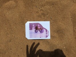 Karen Paulina Biswell