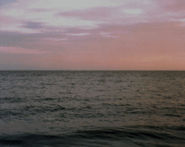 Karen Paulina Biswell