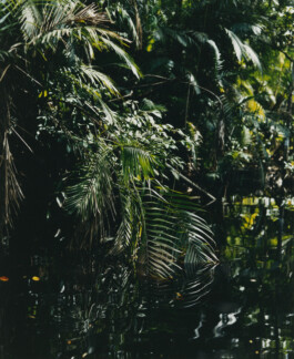 Karen Paulina Biswell