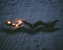 Karen Paulina Biswell