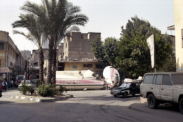 Karen Paulina Biswell