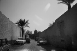 Karen Paulina Biswell