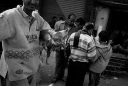 Karen Paulina Biswell