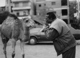 Karen Paulina Biswell