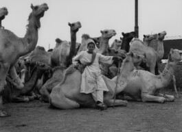 Karen Paulina Biswell