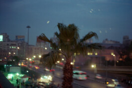 Karen Paulina Biswell