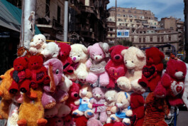 Karen Paulina Biswell