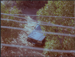 Karen Paulina Biswell