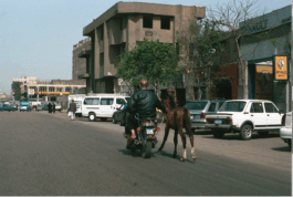 Karen Paulina Biswell